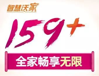 新澳天天开奖资料大全最新100期,新澳天天开奖资料大全最新100期，警惕背后的违法犯罪风险