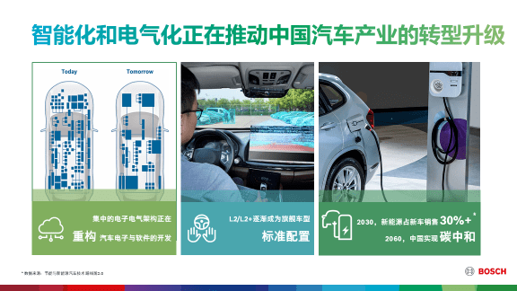 澳门精准正版免费大全14年新,澳门精准正版免费大全14年新，揭示违法犯罪问题的重要性