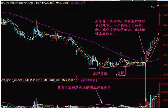 看香港正版精准特马资料,关于看香港正版精准特马资料的违法犯罪问题探讨