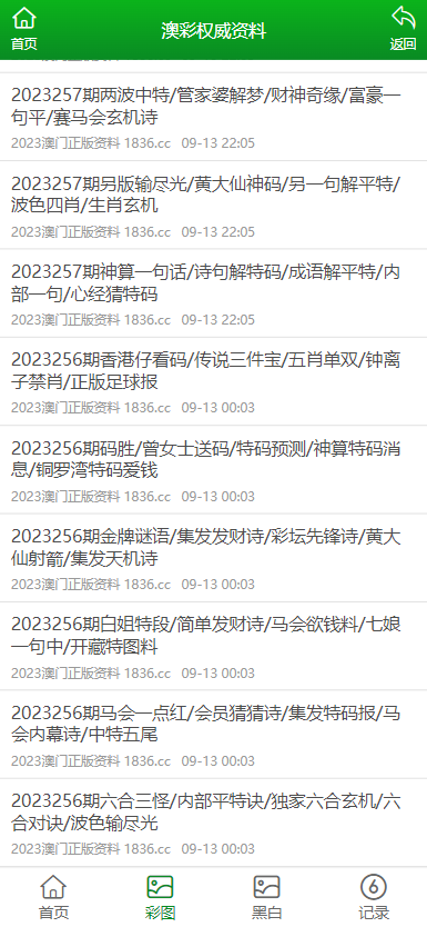 2024澳门资料大全正版资料,澳门资料大全正版资料，探索与解析（2024版）