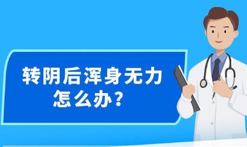 新澳精准资料期期精准,新澳精准资料期期精准，探索现代彩票预测的魅力与智慧