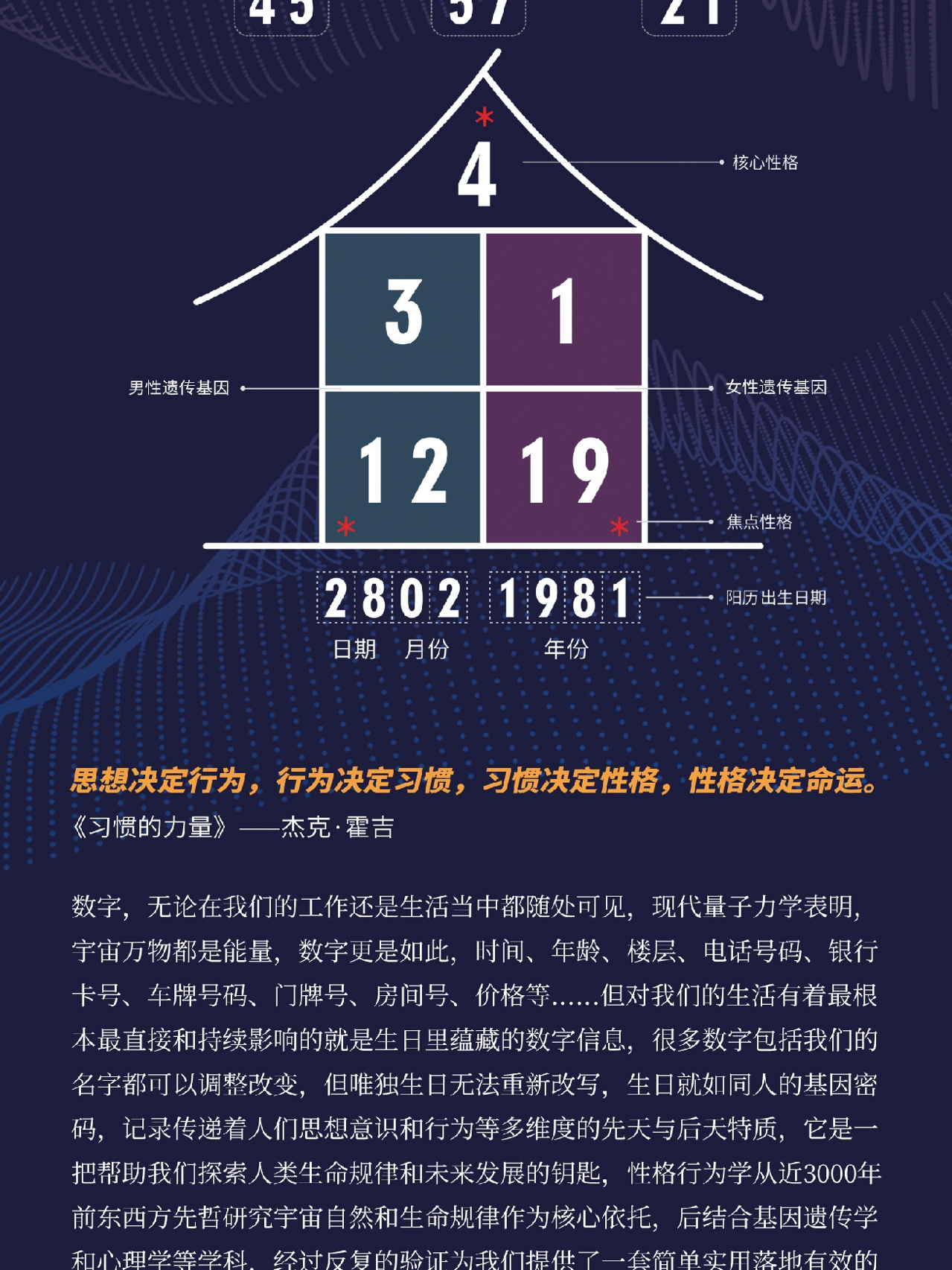 8383848484管家婆中特,探索神秘数字组合，8383848484与管家婆中的特殊现象