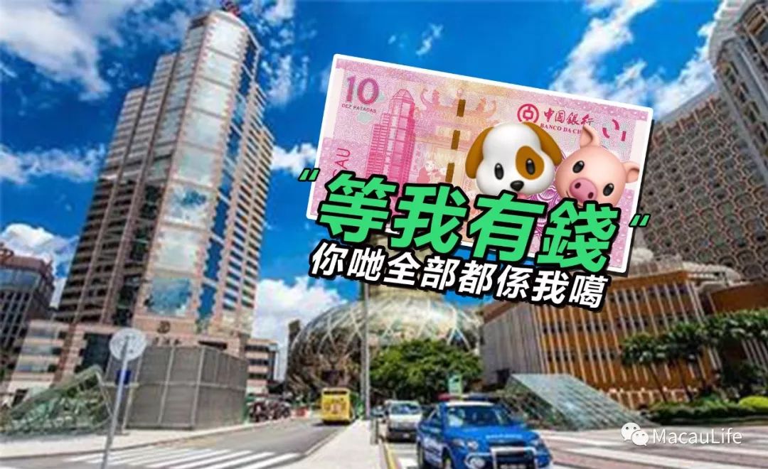 2024澳门今晚开什么生肖,澳门今晚生肖开什么——探寻未来的幸运符号