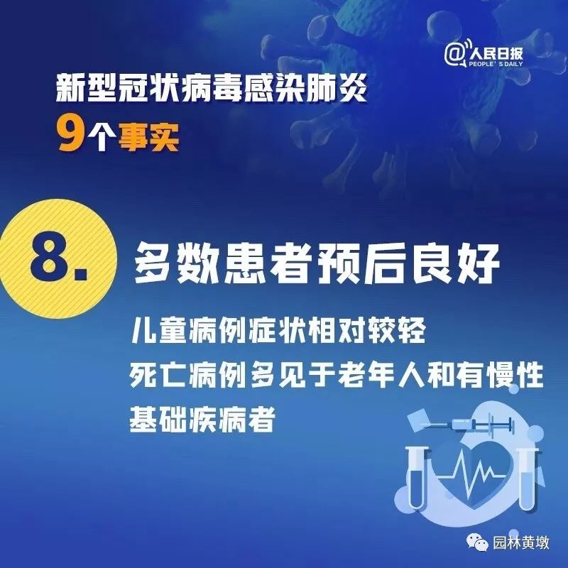 2025新澳最精准资料大全, 2025新澳最精准资料大全，深度解析与预测